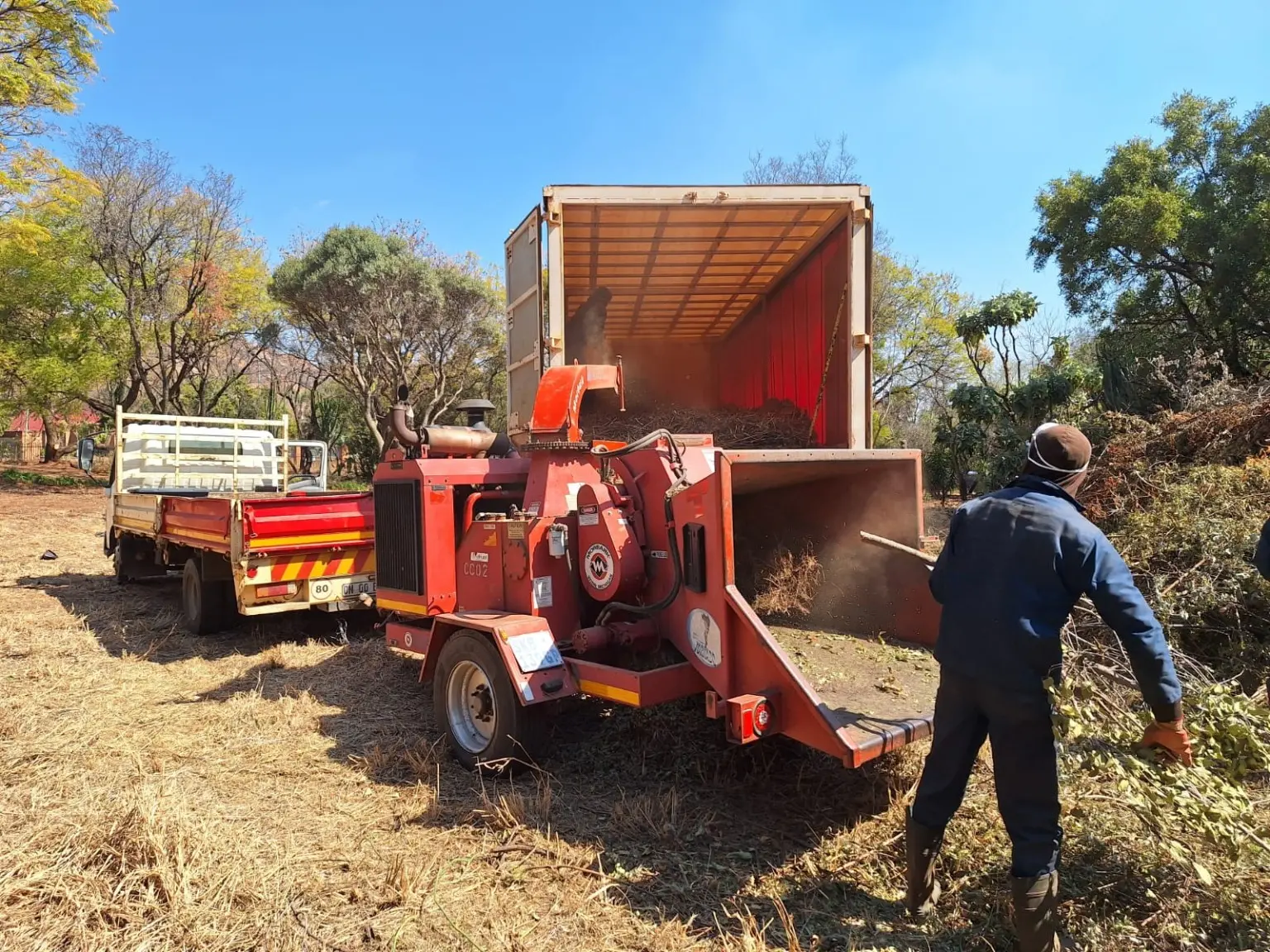Pile of fresh wood chips produced during commercial land clearing in Gauteng